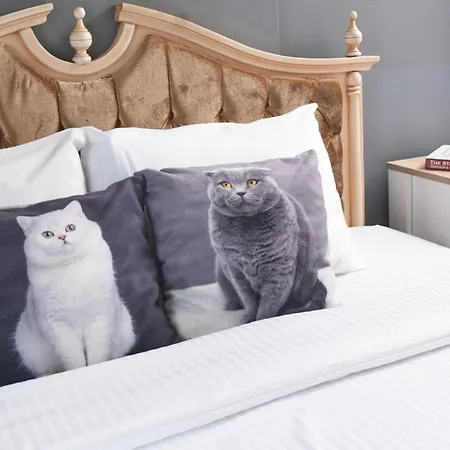 Luxery Galata Pearl